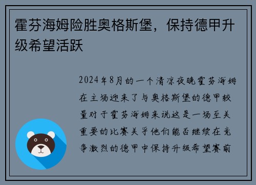 霍芬海姆险胜奥格斯堡，保持德甲升级希望活跃